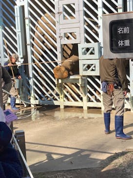 恩賜上野動物園に投稿された画像（2026/1/15）