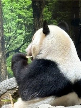 恩賜上野動物園に投稿された画像（2026/1/15）