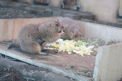 横浜・八景島シーパラダイスに投稿された画像（2026/1/15）