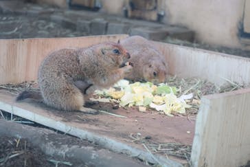 横浜・八景島シーパラダイスに投稿された画像（2026/1/15）