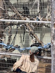 天王寺動物園に投稿された画像（2026/1/15）