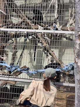 天王寺動物園に投稿された画像（2026/1/15）