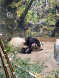 恩賜上野動物園に投稿された画像（2026/1/15）