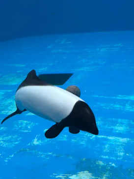 仙台うみの杜水族館に投稿された画像（2026/1/15）