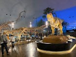 福井県立恐竜博物館に投稿された画像（2026/1/15）