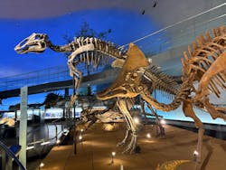 福井県立恐竜博物館に投稿された画像（2026/1/15）