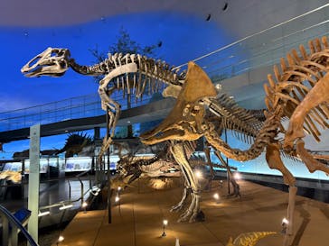 福井県立恐竜博物館に投稿された画像（2026/1/15）