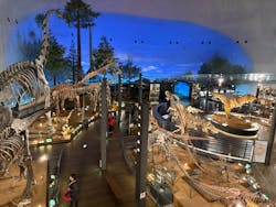 福井県立恐竜博物館に投稿された画像（2026/1/15）