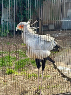 恩賜上野動物園に投稿された画像（2026/1/15）