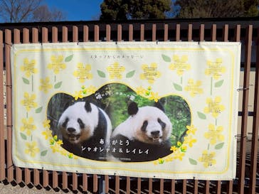 恩賜上野動物園に投稿された画像（2026/1/15）