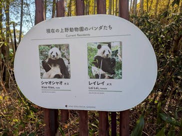 恩賜上野動物園に投稿された画像（2026/1/15）