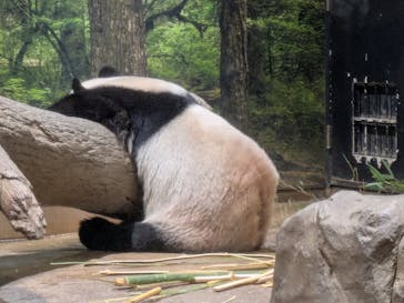 恩賜上野動物園に投稿された画像（2026/1/15）