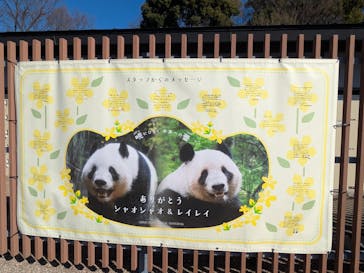 恩賜上野動物園に投稿された画像（2026/1/15）