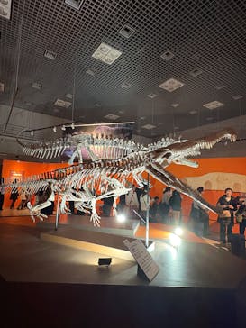 印象派オルセー展×大絶滅展に投稿された画像（2026/1/15）