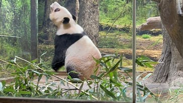 恩賜上野動物園に投稿された画像（2026/1/15）