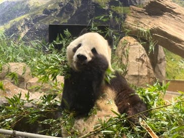 恩賜上野動物園に投稿された画像（2026/1/15）