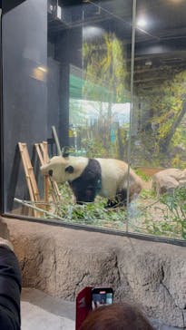 恩賜上野動物園に投稿された画像（2026/1/15）