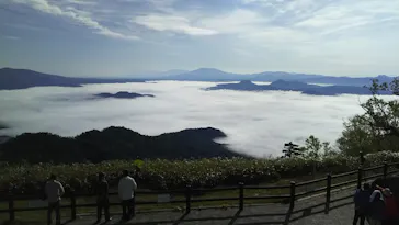 石垣やいま村に投稿された画像（2026/1/15）