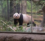 恩賜上野動物園に投稿された画像（2026/1/15）