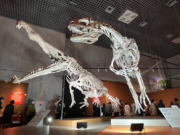 国立科学博物館に投稿された画像（2026/1/15）