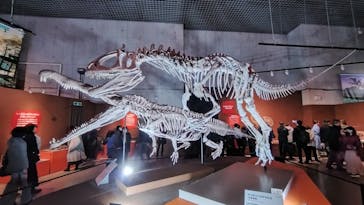 特別展「大絶滅展―生命史のビッグファイブ」に投稿された画像（2026/1/15）