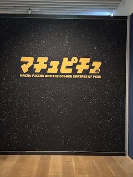 CREVIA マチュピチュ展／CREVIA MACHU PICCHU AND THE GOLDEN EMPIRES OF PERUに投稿された画像（2026/1/15）