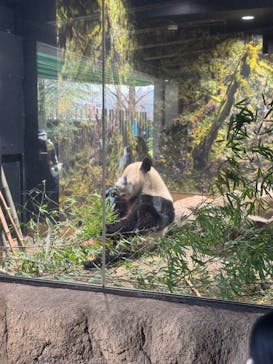 恩賜上野動物園に投稿された画像（2026/1/15）
