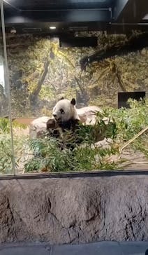 恩賜上野動物園に投稿された画像（2026/1/15）