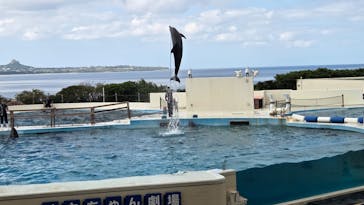 沖縄美ら海水族館に投稿された画像（2026/1/15）