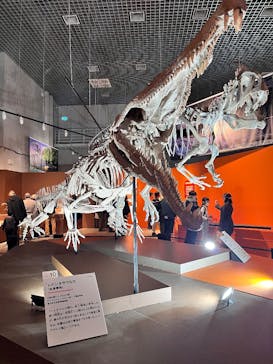 特別展「大絶滅展―生命史のビッグファイブ」に投稿された画像（2026/1/15）