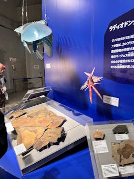 特別展「大絶滅展―生命史のビッグファイブ」に投稿された画像（2026/1/15）