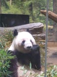 恩賜上野動物園に投稿された画像（2026/1/15）
