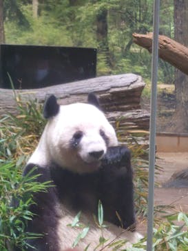 恩賜上野動物園に投稿された画像（2026/1/15）