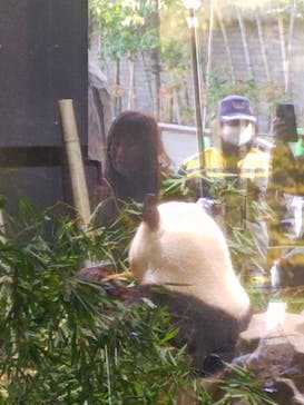 恩賜上野動物園に投稿された画像（2026/1/15）
