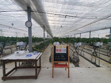 株式会社こまち野に投稿された画像（2026/1/15）