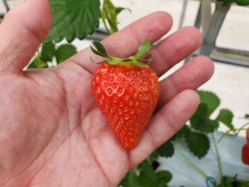 株式会社こまち野に投稿された画像（2026/1/15）