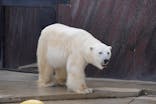 恩賜上野動物園に投稿された画像（2026/1/15）
