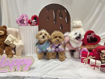 Pet博2026 横浜に投稿された画像（2026/1/15）