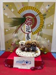 Pet博2026 横浜に投稿された画像（2026/1/15）