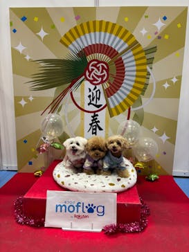 Pet博2026 横浜に投稿された画像（2026/1/15）