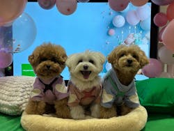 Pet博2026 横浜に投稿された画像（2026/1/15）