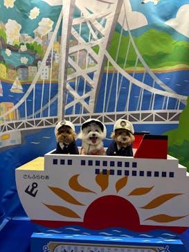 Pet博2026 横浜に投稿された画像（2026/1/15）