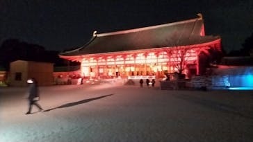 NAKEDヨルマイリ 2025-26 平安神宮に投稿された画像（2026/1/15）