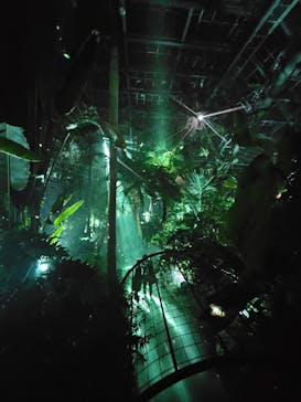 京都府立植物園　LIGHT CYCLES KYOTOに投稿された画像（2026/1/15）