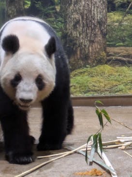 恩賜上野動物園に投稿された画像（2026/1/15）