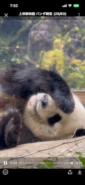 恩賜上野動物園に投稿された画像（2026/1/15）