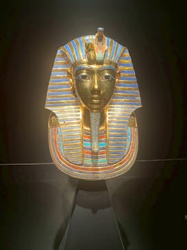 MYSTERY OF TUTANKHAMEN 体感型古代エジプト展に投稿された画像（2026/1/15）