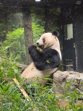 恩賜上野動物園に投稿された画像（2026/1/15）