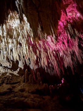 おきなわワールドに投稿された画像（2026/1/15）