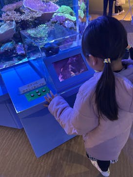 名古屋港水族館に投稿された画像（2026/1/15）